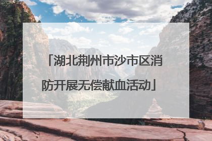 湖北荆州市沙市区消防开展无偿献血活动