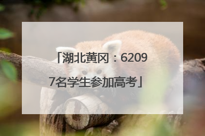 湖北黄冈：62097名学生参加高考