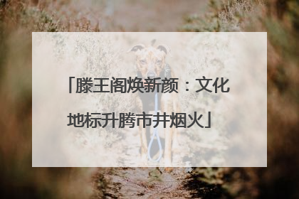 滕王阁焕新颜：文化地标升腾市井烟火