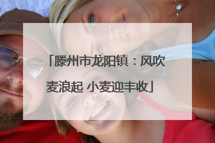 滕州市龙阳镇：风吹麦浪起 小麦迎丰收