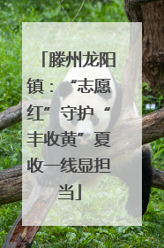 滕州龙阳镇：“志愿红”守护“丰收黄”夏收一线显担当
