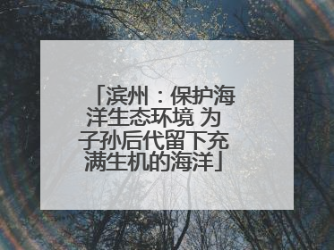 滨州：保护海洋生态环境 为子孙后代留下充满生机的海洋