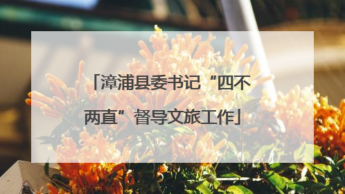 漳浦县委书记“四不两直”督导文旅工作
