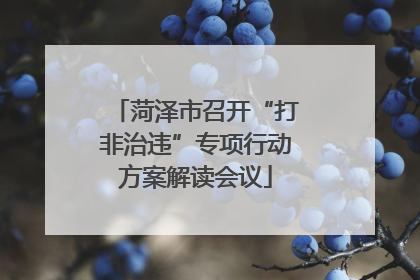 菏泽市召开“打非治违”专项行动方案解读会议