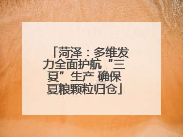 菏泽：多维发力全面护航“三夏”生产 确保夏粮颗粒归仓