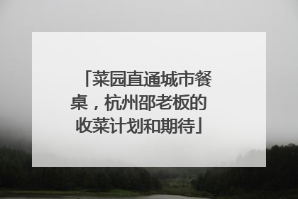 菜园直通城市餐桌，杭州邵老板的收菜计划和期待