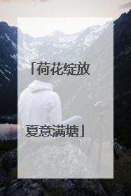 荷花绽放 夏意满塘