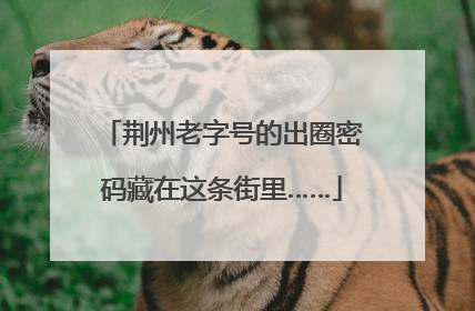 荆州老字号的出圈密码藏在这条街里……