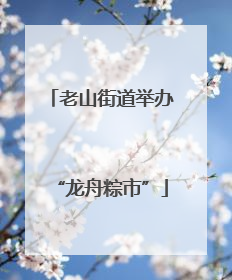 老山街道举办“龙舟粽市”