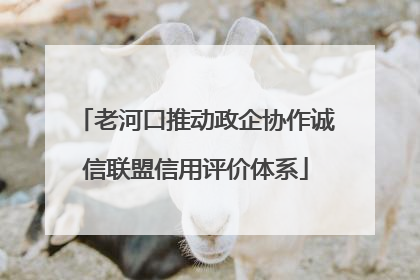 老河口推动政企协作诚信联盟信用评价体系