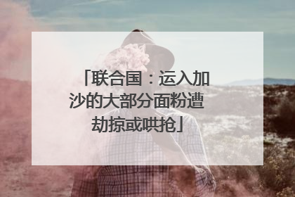 联合国：运入加沙的大部分面粉遭劫掠或哄抢