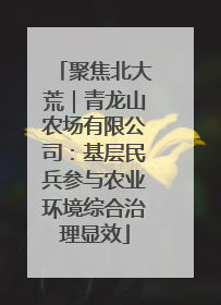 聚焦北大荒｜青龙山农场有限公司：基层民兵参与农业环境综合治理显效