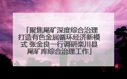 聚焦尾矿深度综合治理 打造有色金属循环经济新模式 张金良一行调研栾川县尾矿库综合治理工作