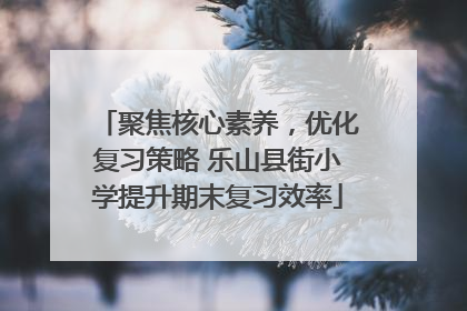 聚焦核心素养，优化复习策略 乐山县街小学提升期末复习效率