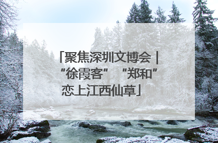 聚焦深圳文博会｜“徐霞客”“郑和”恋上江西仙草