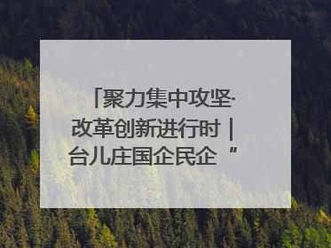 聚力集中攻坚·改革创新进行时｜台儿庄国企民企“联姻”记
