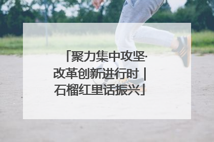 聚力集中攻坚·改革创新进行时｜石榴红里话振兴