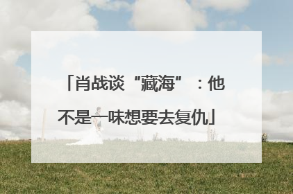 肖战谈“藏海”：他不是一味想要去复仇