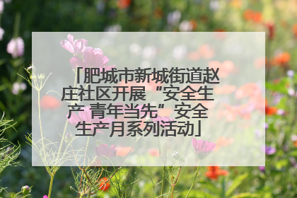 肥城市新城街道赵庄社区开展“安全生产 青年当先”安全生产月系列活动