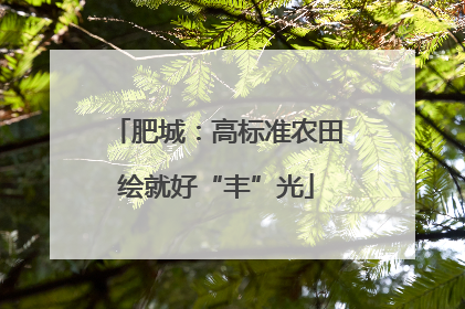肥城：高标准农田绘就好“丰”光