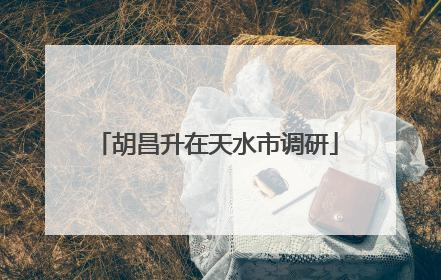 胡昌升在天水市调研