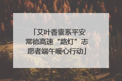 艾叶香囊系平安 常德高速“路灯”志愿者端午暖心行动