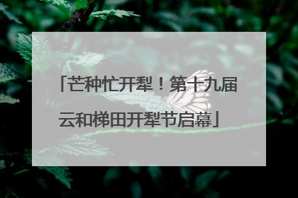 芒种忙开犁！第十九届云和梯田开犁节启幕