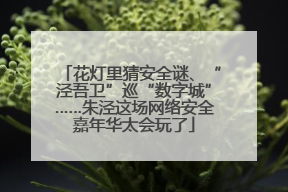 花灯里猜安全谜、“泾吾卫”巡“数字城”……朱泾这场网络安全嘉年华太会玩了