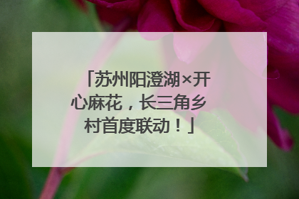 苏州阳澄湖×开心麻花，长三角乡村首度联动！