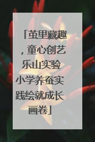 茧里藏趣，童心创艺 乐山实验小学养蚕实践绘就成长画卷