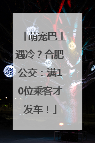 萌宠巴士遇冷？合肥公交：满10位乘客才发车！