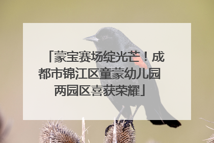 蒙宝赛场绽光芒！成都市锦江区童蒙幼儿园两园区喜获荣耀