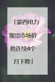 蒙西电力现货市场价格连续4个月下降