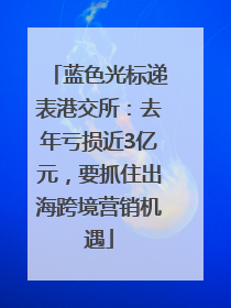 蓝色光标递表港交所：去年亏损近3亿元，要抓住出海跨境营销机遇