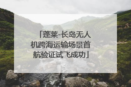 蓬莱-长岛无人机跨海运输场景首航验证试飞成功