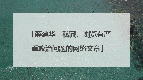 薛建华，私藏、浏览有严重政治问题的网络文章