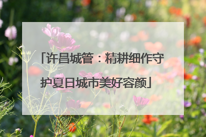 许昌城管：精耕细作守护夏日城市美好容颜
