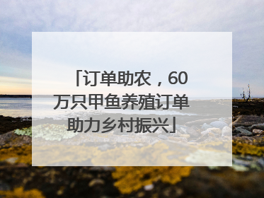 订单助农，60万只甲鱼养殖订单助力乡村振兴