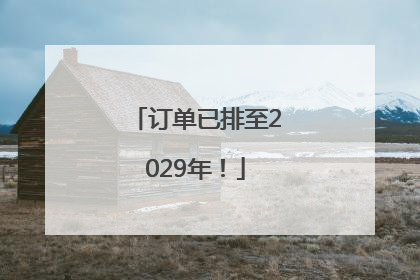 订单已排至2029年！