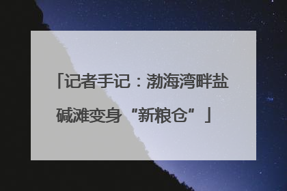 记者手记：渤海湾畔盐碱滩变身“新粮仓”