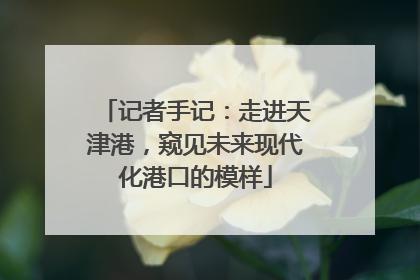 记者手记：走进天津港，窥见未来现代化港口的模样