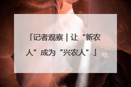记者观察｜让“新农人”成为“兴农人”