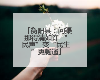 衡阳县：问渠那得清如许 “民声”变“民生”更畅通