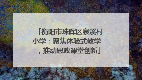 衡阳市珠晖区泉溪村小学：聚焦体验式教学，推动思政课堂创新