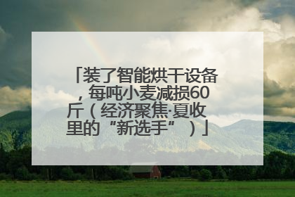 装了智能烘干设备，每吨小麦减损60斤（经济聚焦·夏收里的“新选手”）