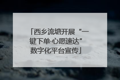 西乡流塘开展“一键下单·心愿速达”数字化平台宣传