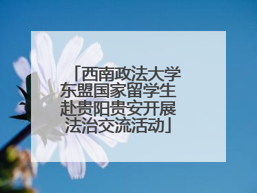 西南政法大学东盟国家留学生赴贵阳贵安开展法治交流活动