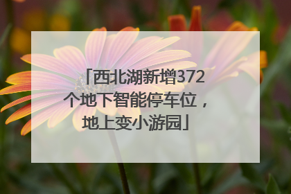 西北湖新增372个地下智能停车位，地上变小游园