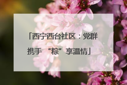 西宁西台社区：党群携手 “粽”享温情