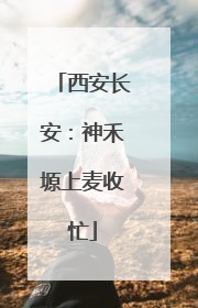 西安长安：神禾塬上麦收忙